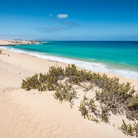 Home2Book Amazing La Mareta